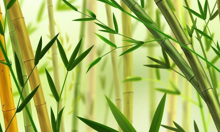 加入電商代運(yùn)營(yíng)的原因是