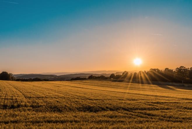 上海短視頻代運(yùn)營公司如何構(gòu)建私域流量