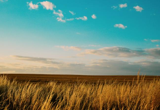 上海短視頻代運(yùn)營公司如何構(gòu)建私域流量