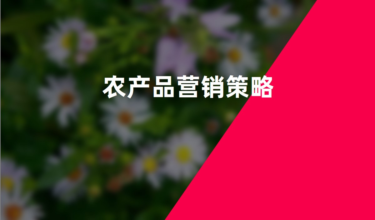 景區(qū)營(yíng)銷(xiāo)策劃方案