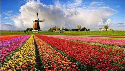 要想做成功農(nóng)業(yè)品牌策劃：這三項重要內(nèi)容不能忽略