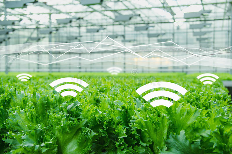 互聯(lián)網(wǎng)農(nóng)業(yè)品牌定位應(yīng)該找哪些人來做？