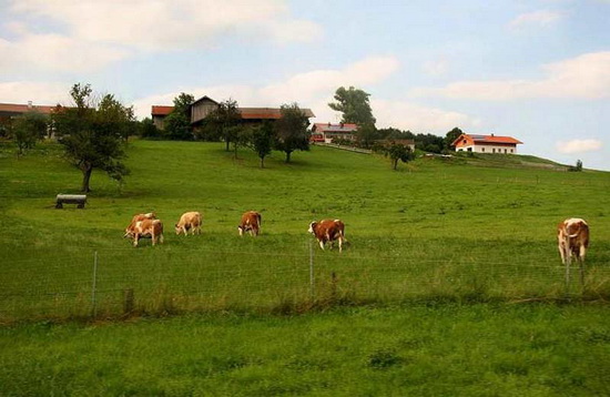 要想做好農(nóng)業(yè)品牌定位：這三大要素不能缺少！