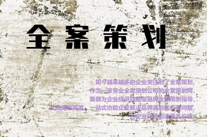 專業(yè)全案策劃網(wǎng)，為企業(yè)提供戰(zhàn)略型品牌全案策劃指導(dǎo)