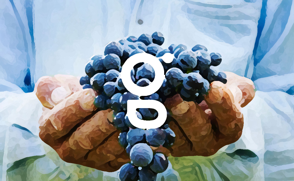 農(nóng)業(yè)品牌VI設(shè)計(jì)提升農(nóng)業(yè)企業(yè)競爭力