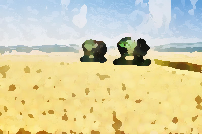 農(nóng)業(yè)公司品牌形象提升，實現(xiàn)農(nóng)業(yè)增效、農(nóng)民增收