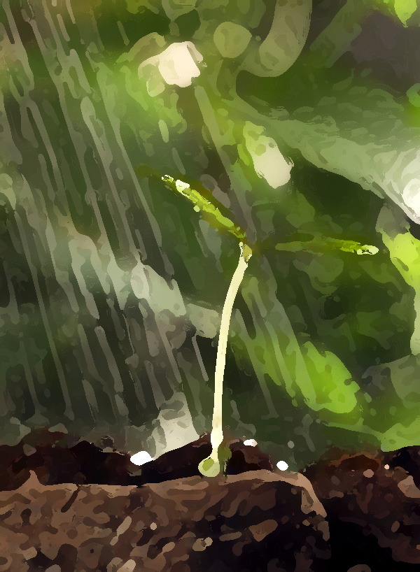 農(nóng)業(yè)公司品牌提升策劃，實現(xiàn)農(nóng)業(yè)垂直一體化