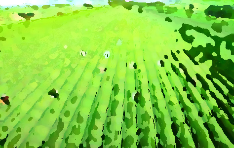 農(nóng)業(yè)品牌提升機構(gòu)，促進農(nóng)業(yè)農(nóng)村經(jīng)濟轉(zhuǎn)型