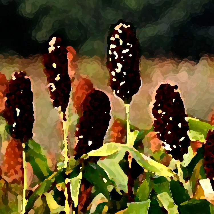 農(nóng)業(yè)老品牌提升，讓品牌強起來