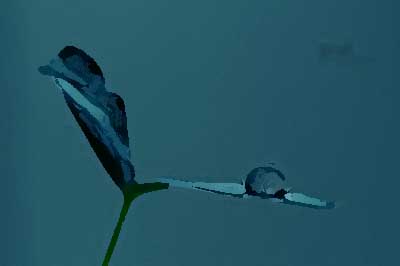 餐飲品牌設計的突破點有哪些？