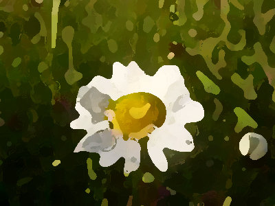 如何進行農(nóng)業(yè)品牌形象提升？