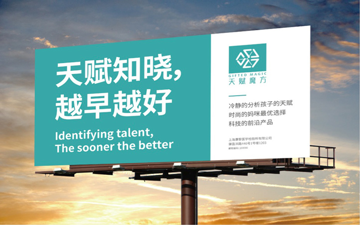 天賦魔方品牌VI設(shè)計(jì)