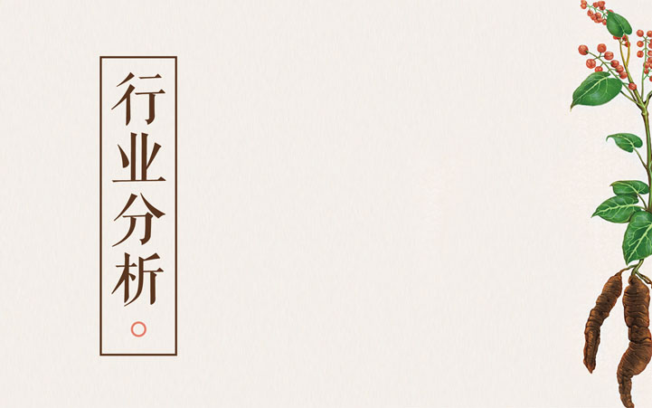 補補吧品牌全案策劃