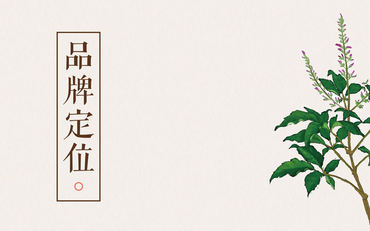 補補吧品牌全案策劃