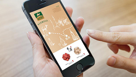 農業(yè)品牌策劃