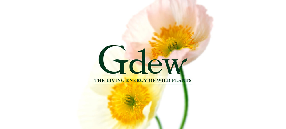 韓國(guó)GDEW化妝品進(jìn)軍中國(guó)之路