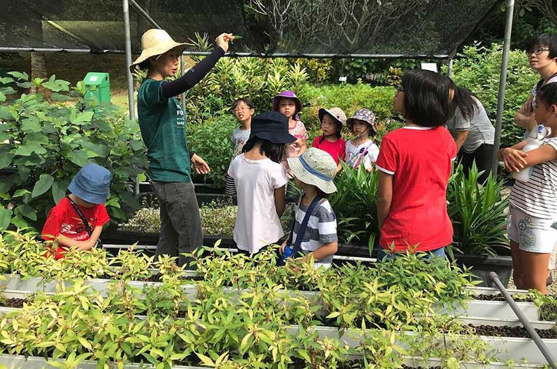 都市品牌農業(yè)