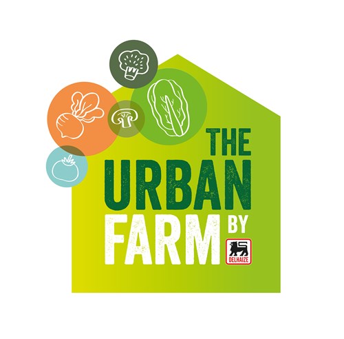 一套時尚的農(nóng)業(yè)品牌設計，設計簡潔明了，用色鮮明，讓人看了過目不忘，值得搞農(nóng)業(yè)品牌朋友學習交流。