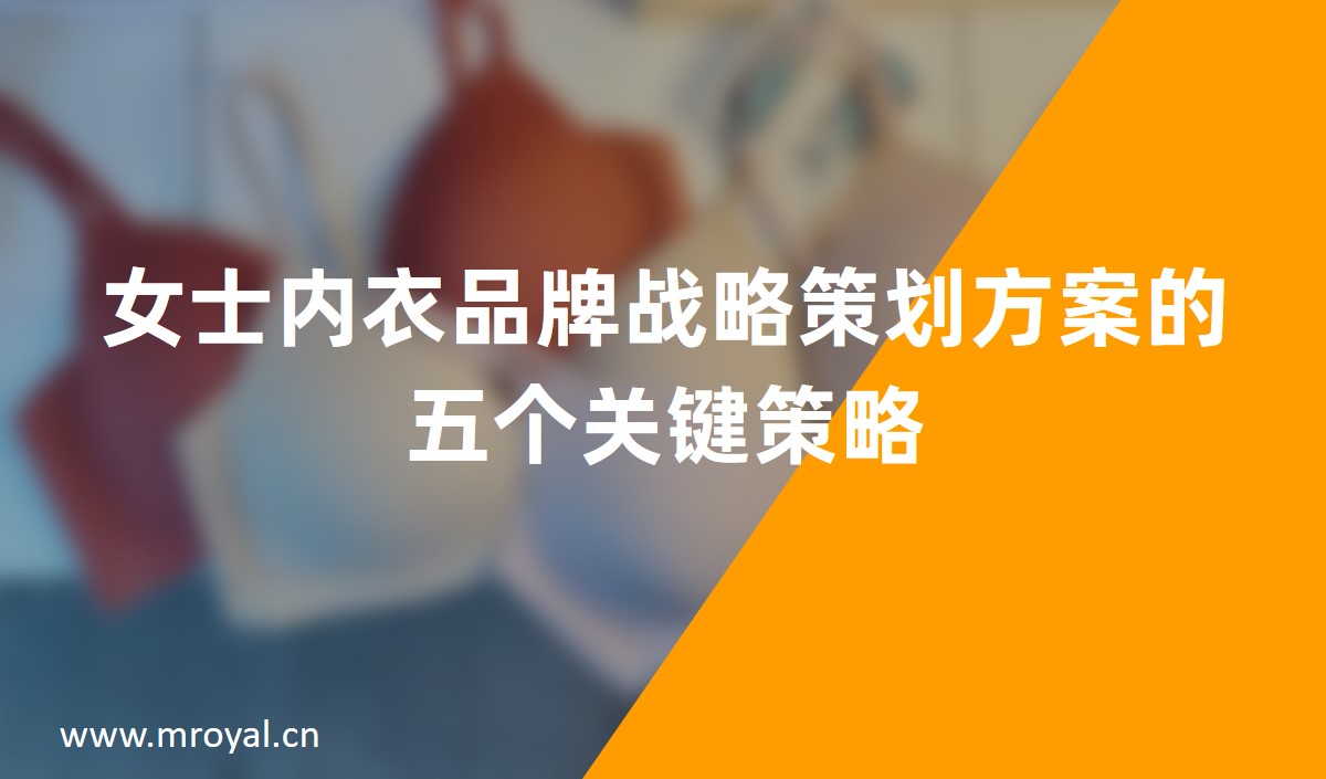 女士內(nèi)衣品牌戰(zhàn)略策劃方案的五個關(guān)鍵策略