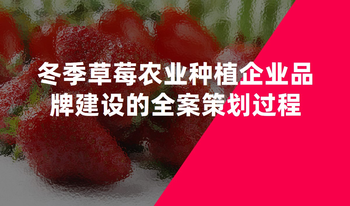 冬季草莓農(nóng)業(yè)種植企業(yè)品牌建設的全案策劃過程
