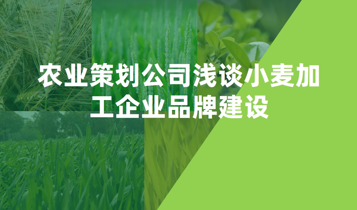 農(nóng)業(yè)策劃公司淺談小麥加工企業(yè)品牌建設